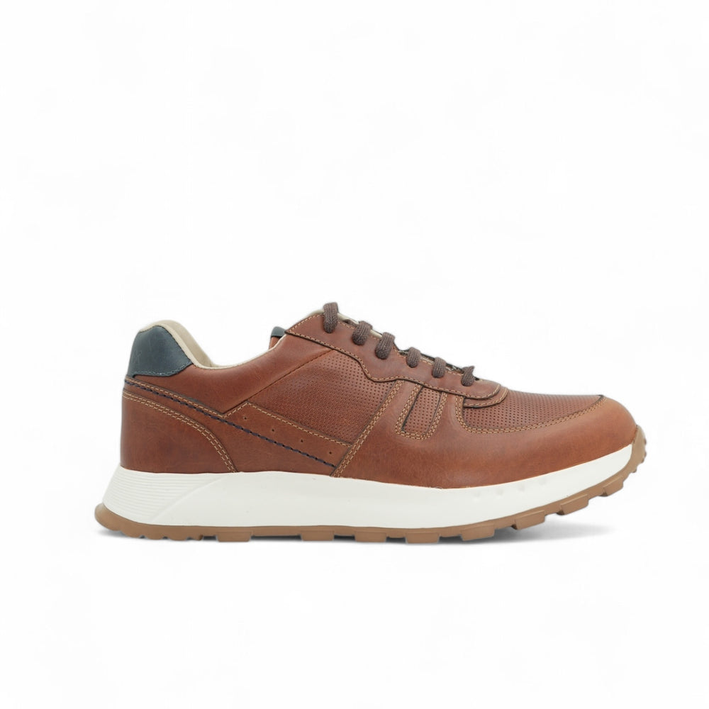 
                  
                    Sneaker Adler Miel
                  
                
